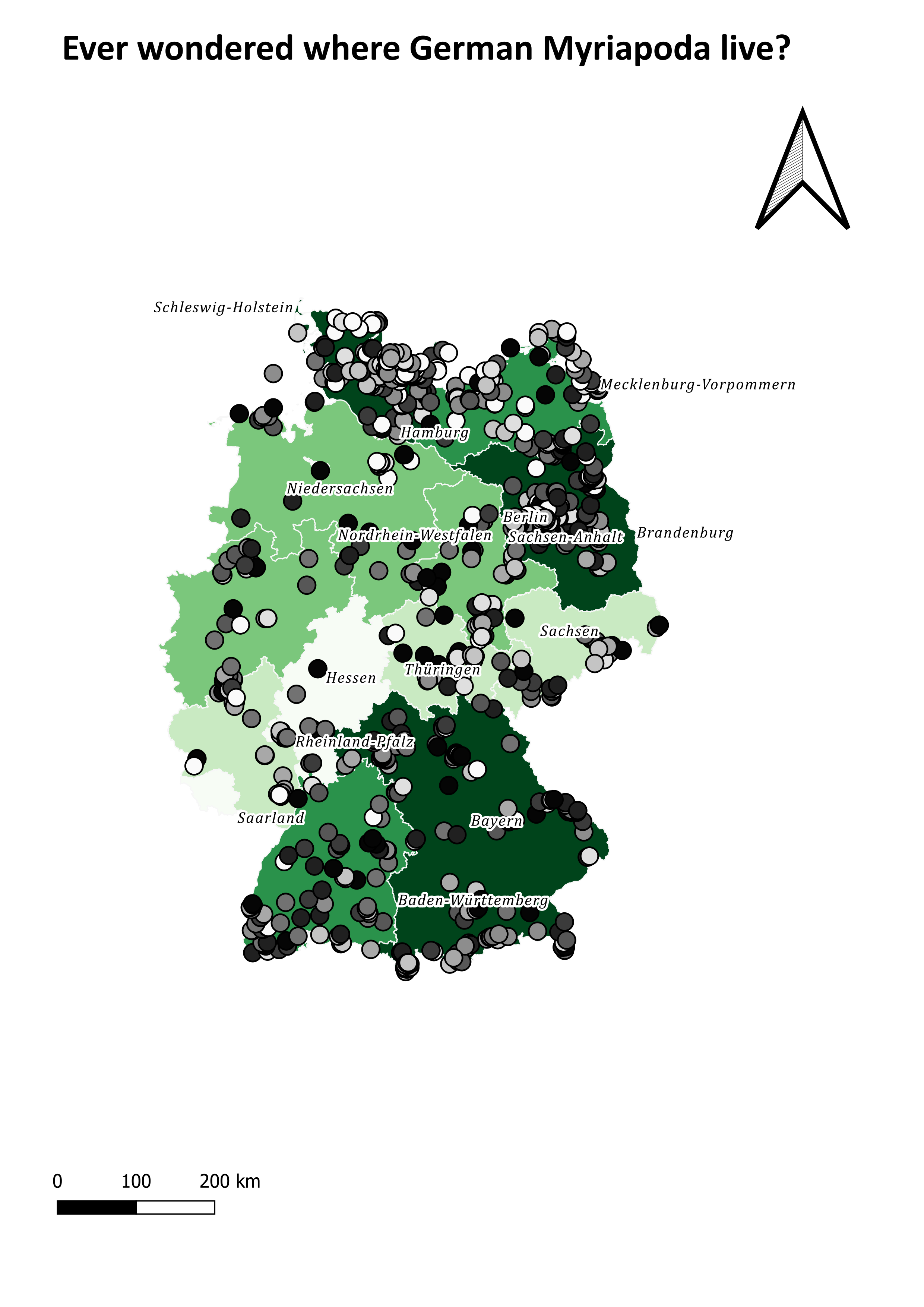 Von den Teilnehmenden mit QGIS erstellte Visualisierung der Myriapoda Collection (Museum für Naturkunde Berlin)