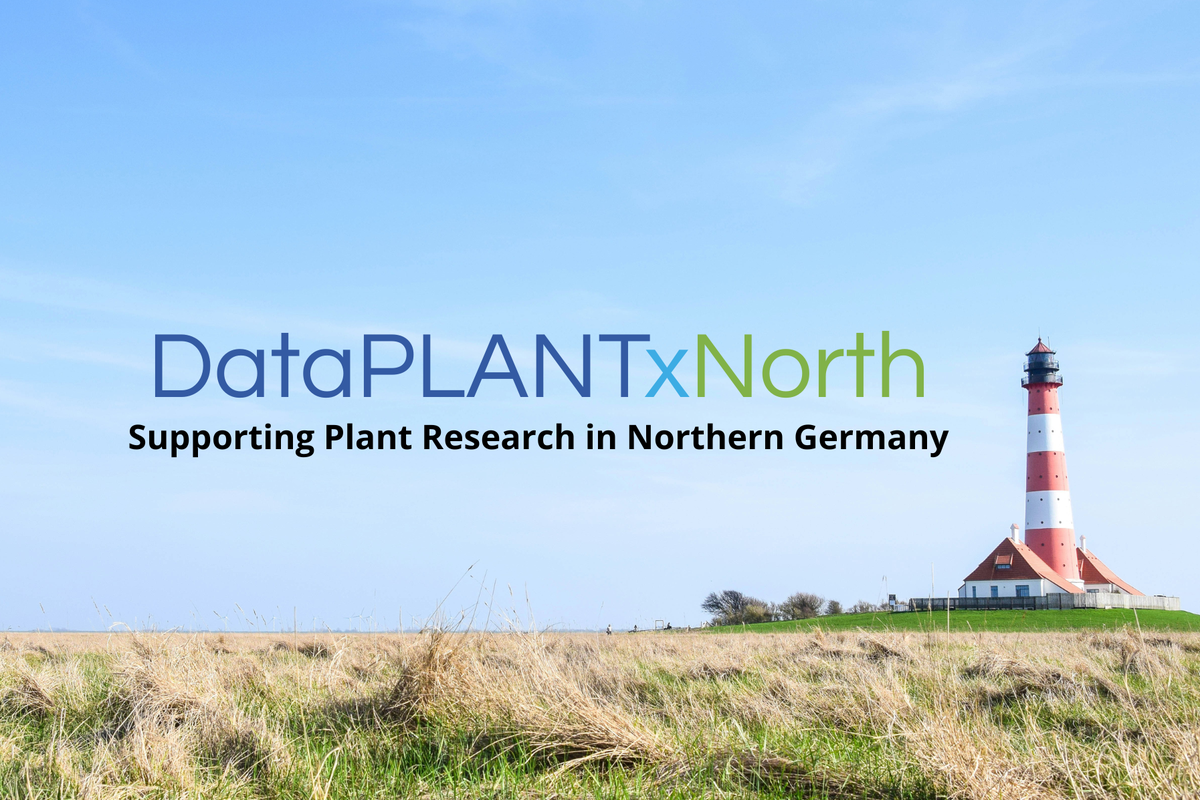 DataPLANTxNorth_simple-Banner_no-logos_Newsartikel